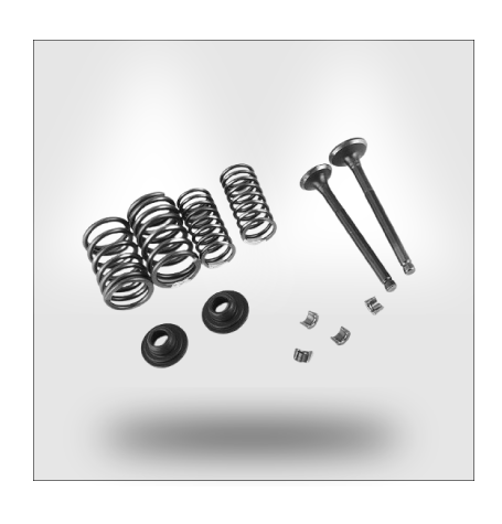 RJI Valve Spring kit