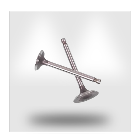 Valve Peter/Lister/Comet